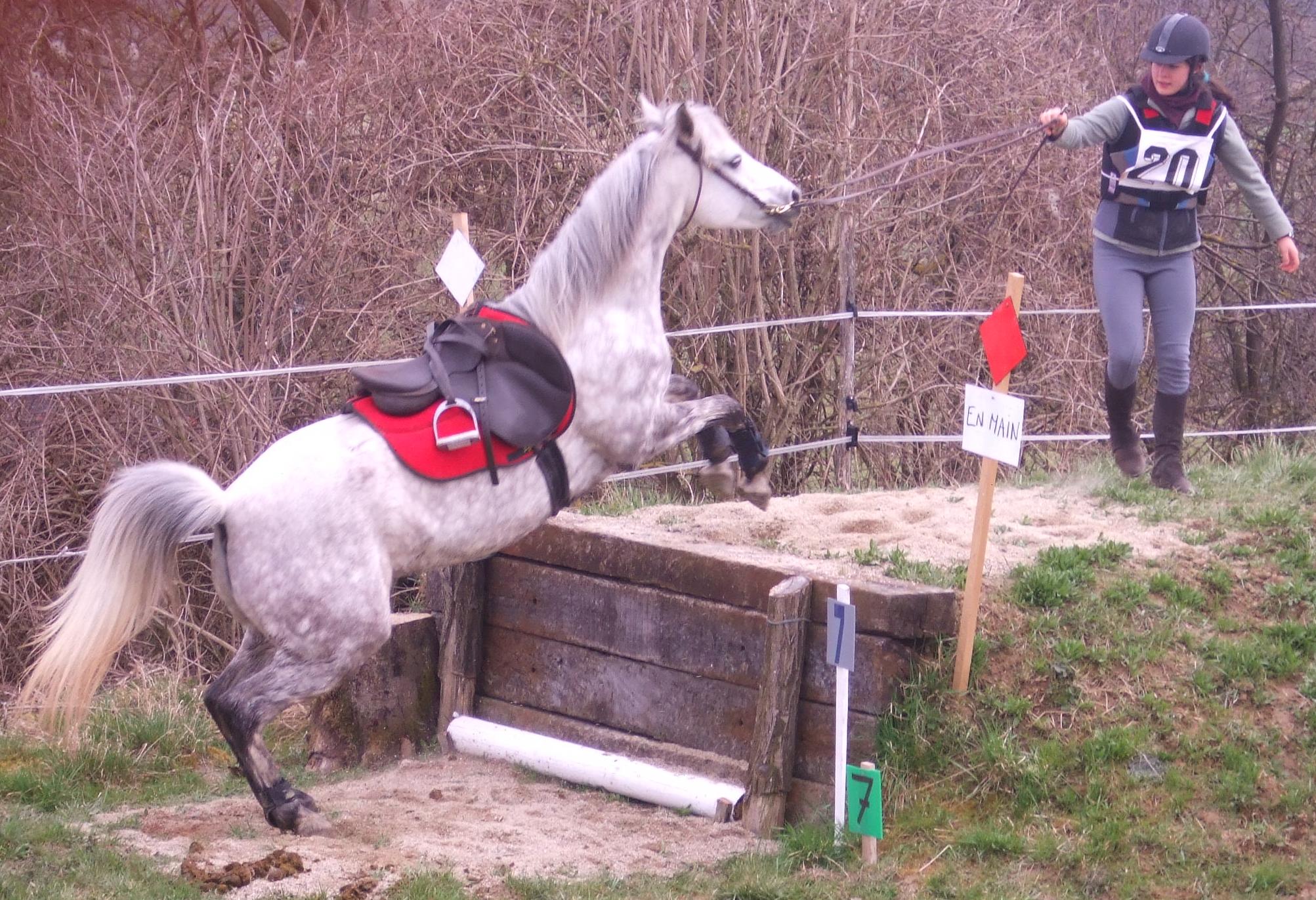 contrehaut définition C'est quoi